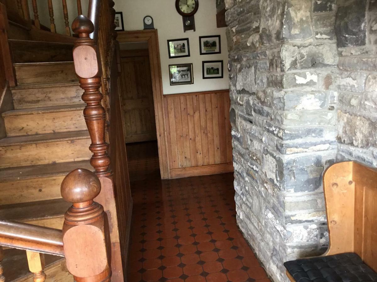 Dromelihy House Stud Doonbeg Exterior foto