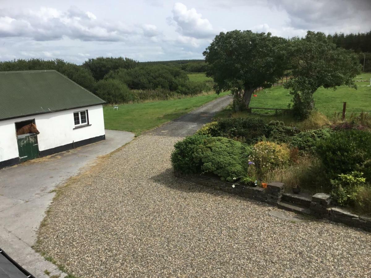 Dromelihy House Stud Doonbeg Exterior foto