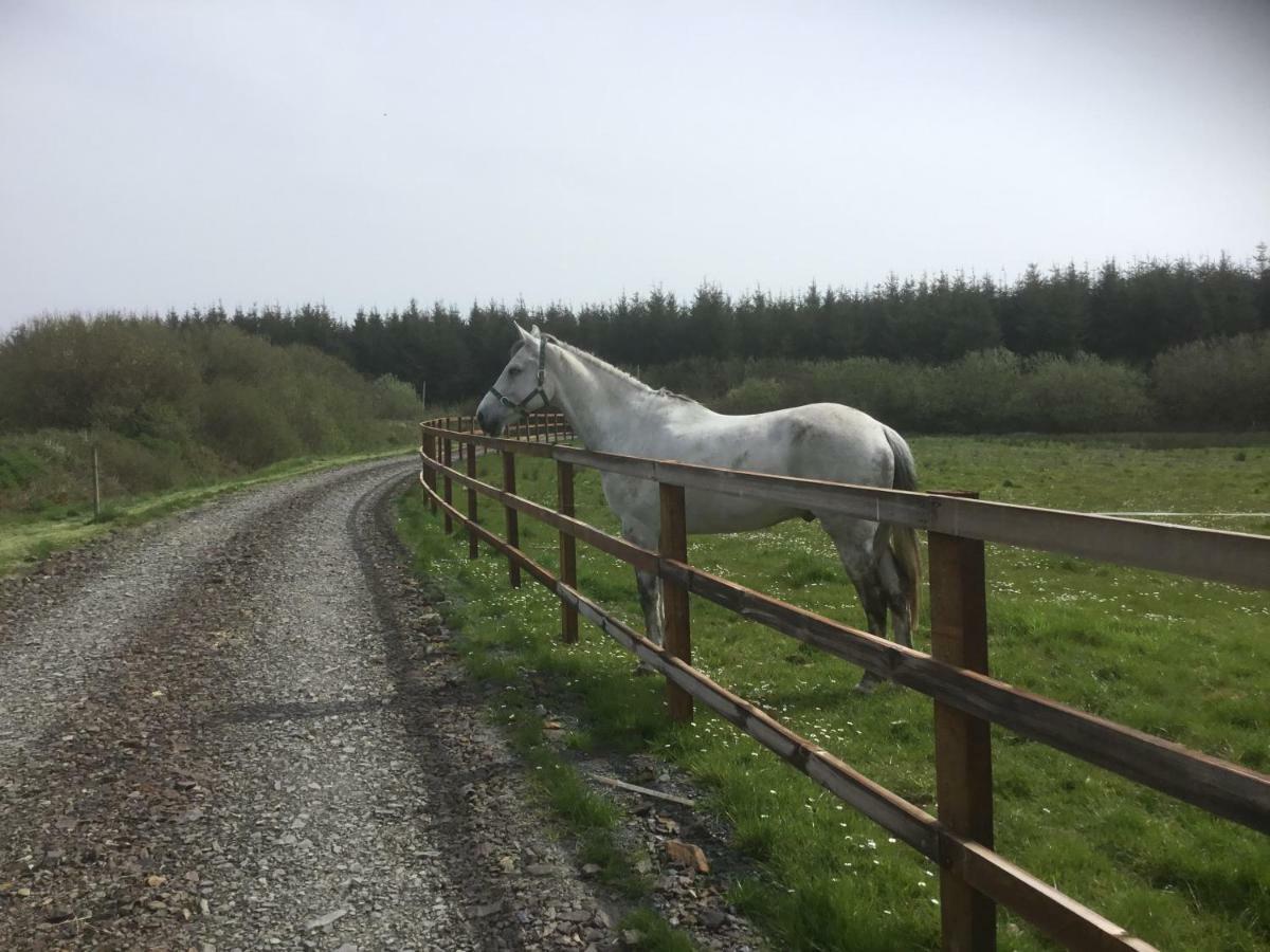 Dromelihy House Stud Doonbeg Exterior foto